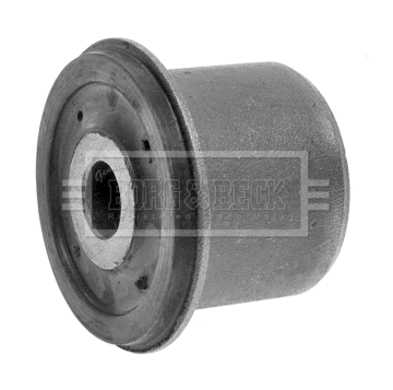 Mounting, control/trailing arm (BSK6921)