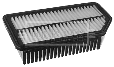 Air Filter (BFA2244)