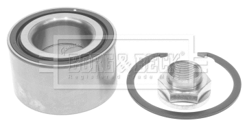 Wheel Bearing Kit (BWK1162)