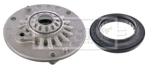 Suspension Strut Support Mount (BSM5528)