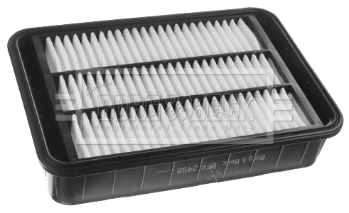 Air Filter (BFA2498)
