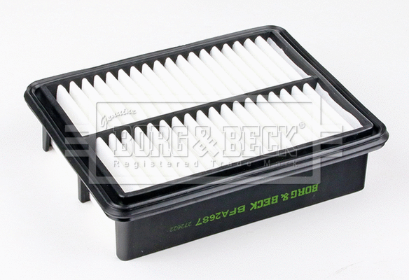 Air Filter (BFA2687)