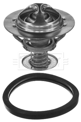 Thermostat, coolant (BBT039)