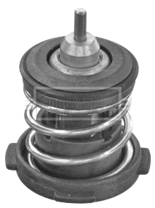 Thermostat, coolant (BBT489)