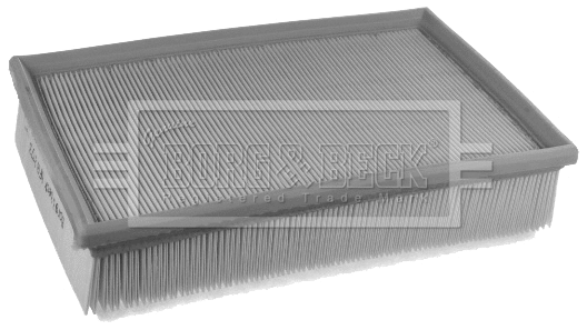 Air Filter (BFA2473)