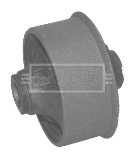 Mounting, control/trailing arm (BSK6715)