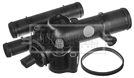 Thermostat, coolant (BBT268)