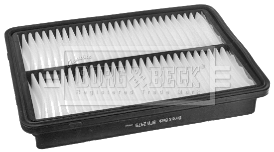 Air Filter (BFA2479)