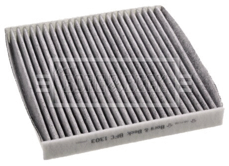 Filter, cabin air (BFC1303)