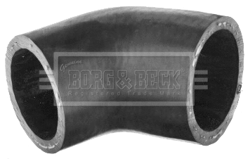 Charge Air Hose (BTH1665)