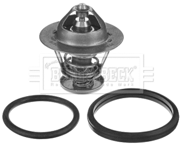 Thermostat, coolant (BBT429)