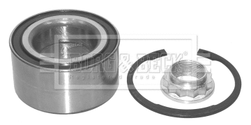 Wheel Bearing Kit (BWK481)