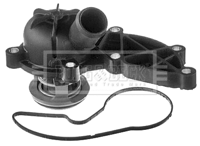 Thermostat, coolant (BBT331)