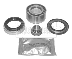 Wheel Bearing Kit (BWK255)