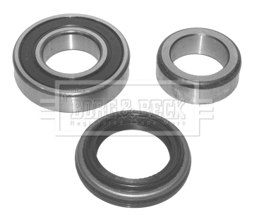 Wheel Bearing Kit (BWK461)