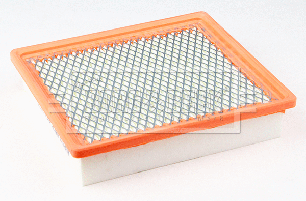 Air Filter (BFA2674)