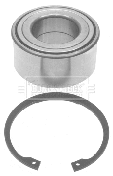 Wheel Bearing Kit (BWK1069)