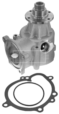 Water Pump, engine cooling (BWP2182)