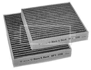 Filter, cabin air (BFC1116)