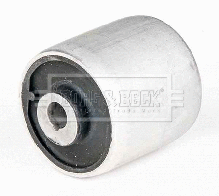 Mounting, control/trailing arm (BSK8157)
