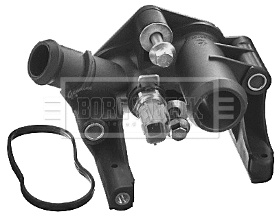 Coolant Flange (BTS1077)