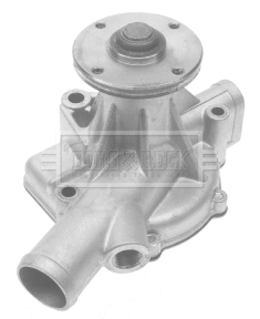 Water Pump, engine cooling (BWP1379)