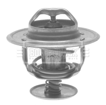 Thermostat, coolant (BTS154.83)
