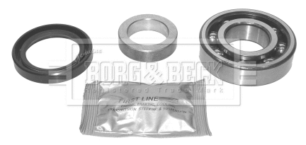 Wheel Bearing Kit (BWK317)
