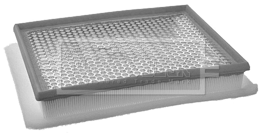 Air Filter (BFA2069)