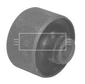 Mounting, control/trailing arm (BSK6549)