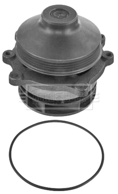 Water Pump, engine cooling (BWP32708)