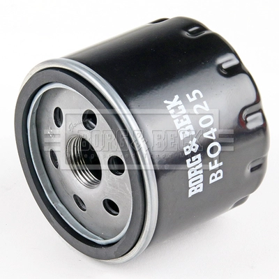 Oil Filter (BFO4025)