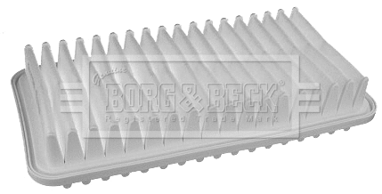 Air Filter (BFA2186)