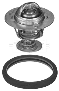 Thermostat, coolant (BBT417)