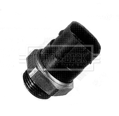 Temperature Switch, radiator fan (BTS894.95)