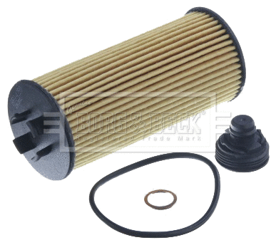 Oil Filter (BFO4259)