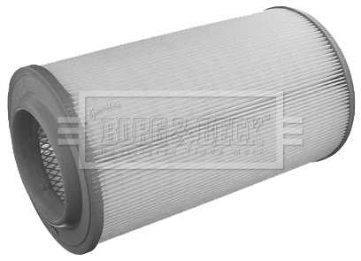 Air Filter (BFA2058)