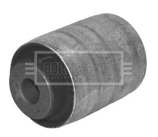 Mounting, control/trailing arm (BSK6584)