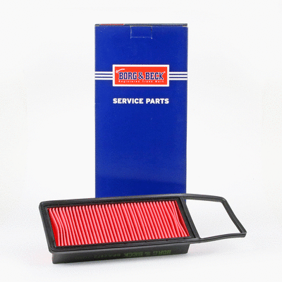 Air Filter (BFA2172)