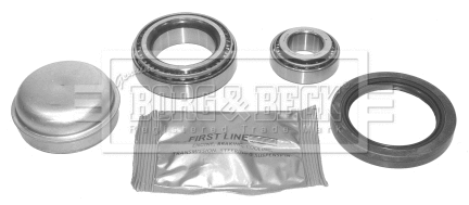 Wheel Bearing Kit (BWK1059)