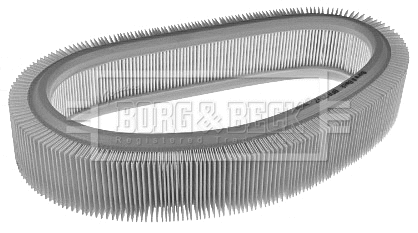 Air Filter (BFA2347)