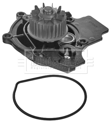 Water Pump, engine cooling (BWP2224)