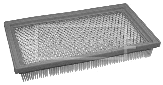 Air Filter (BFA2108)