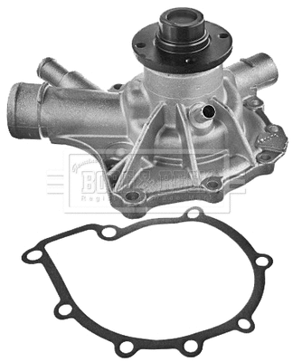 Water Pump, engine cooling (BWP1981)