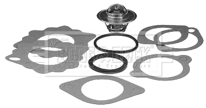 Thermostat, coolant (BBT352)