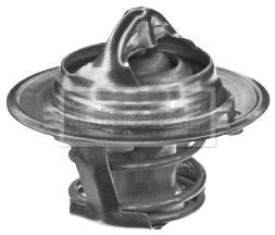 Thermostat, coolant (BTS107.88)