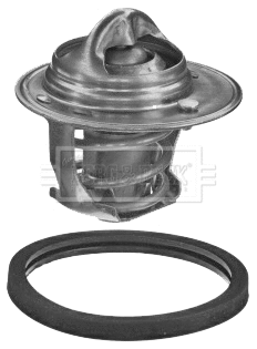 Thermostat, coolant (BBT450)