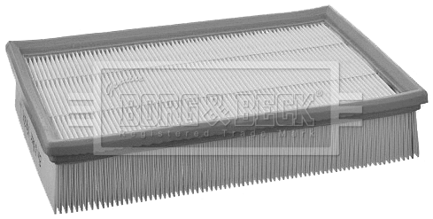 Air Filter (BFA2118)