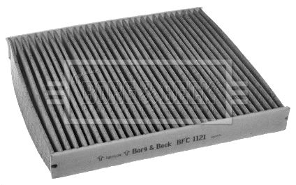 Filter, cabin air (BFC1121)