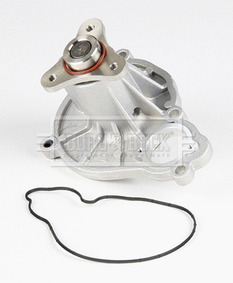 Water Pump, engine cooling (BWP2424)